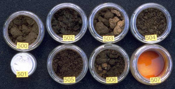 Die zwei Feldspritz-Präparate: 500: Hornmist, 501: Hornkiesel. / Die sechs Kompost-Präparate: 502: Schafgarbe, 503: Kamille; 504: Brennessel, 505: Eichenrinde, 506: Löwenzahn, 507: Baldrian. Die zwei Feldspritz-Präparate: 500: Hornmist, 501: Hornkiesel. / Die sechs Kompost-Präparate: 502: Schafgarbe, 503: Kamille; 504: Brennessel, 505: Eichenrinde, 506: Löwenzahn, 507: Baldrian.